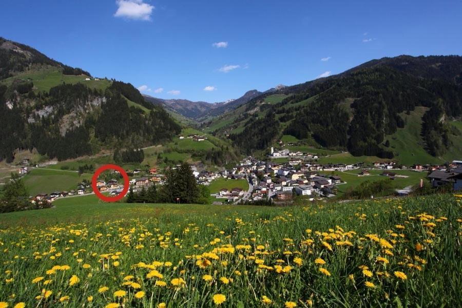 Appartements Wirnsperger 格罗萨尔 外观 照片
